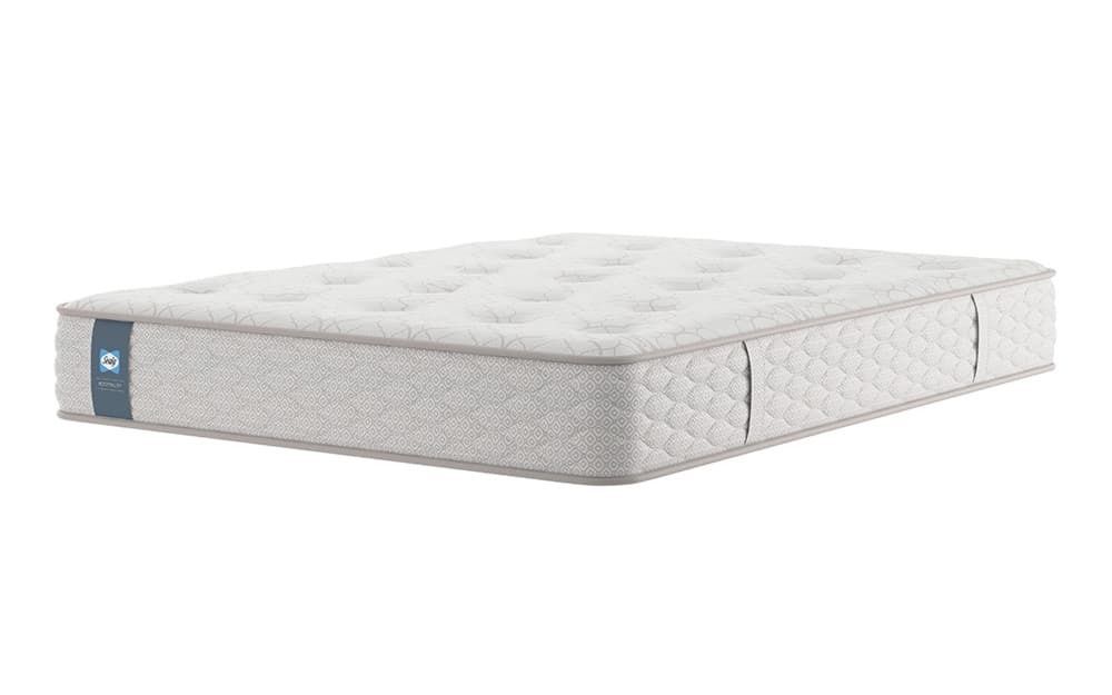 Sealy Tudor Contract Mattress, Superking